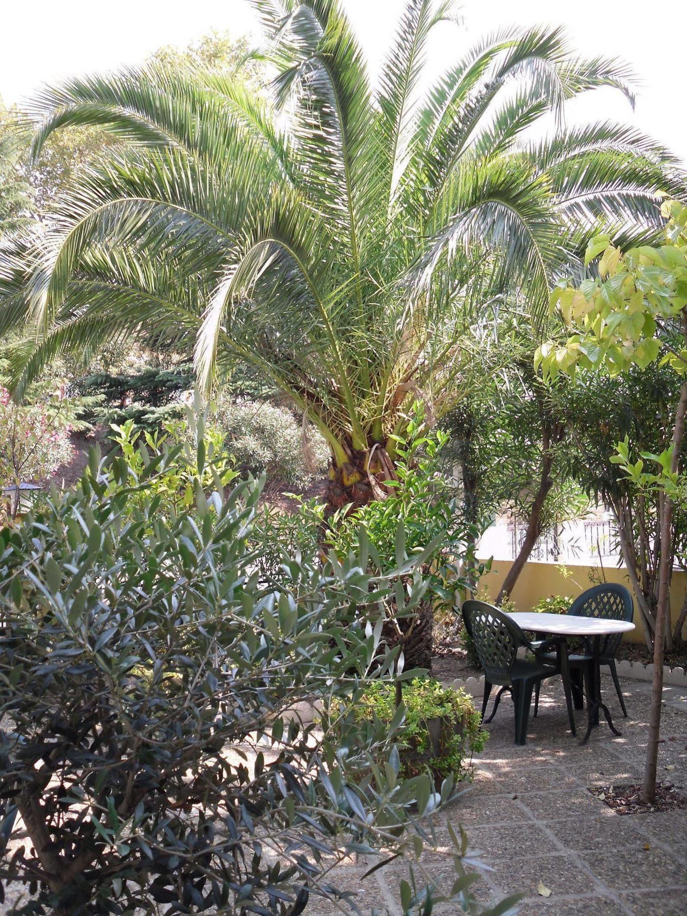 Hotel Le Nid أرجيليه- سور- مير المظهر الخارجي الصورة
